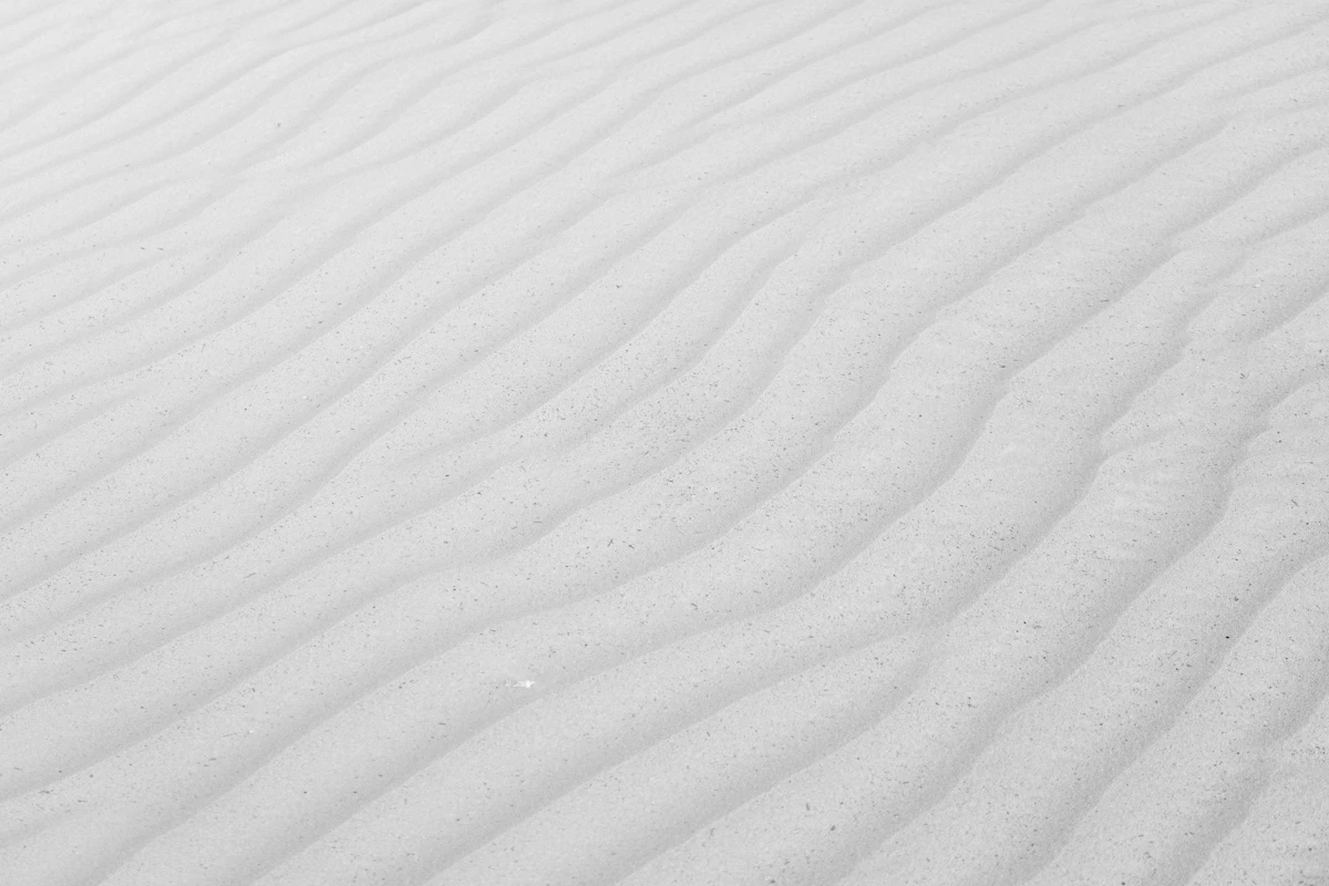 Wind-drawn ripples across a field of fresh snow, lit from the side