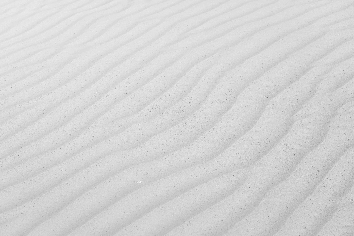 Wind-drawn ripples across a field of fresh snow, lit from the side