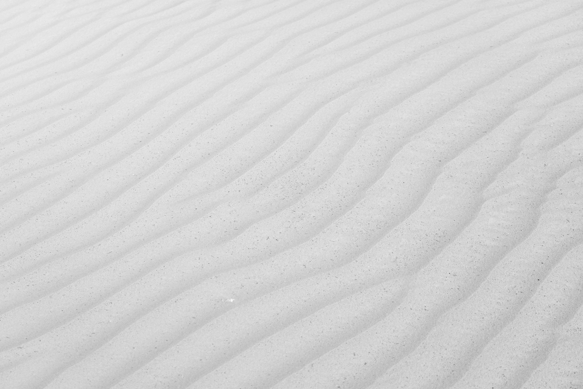 a close up of a snow covered field