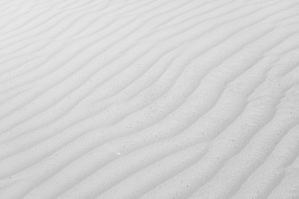 Un primo piano di un campo innevato