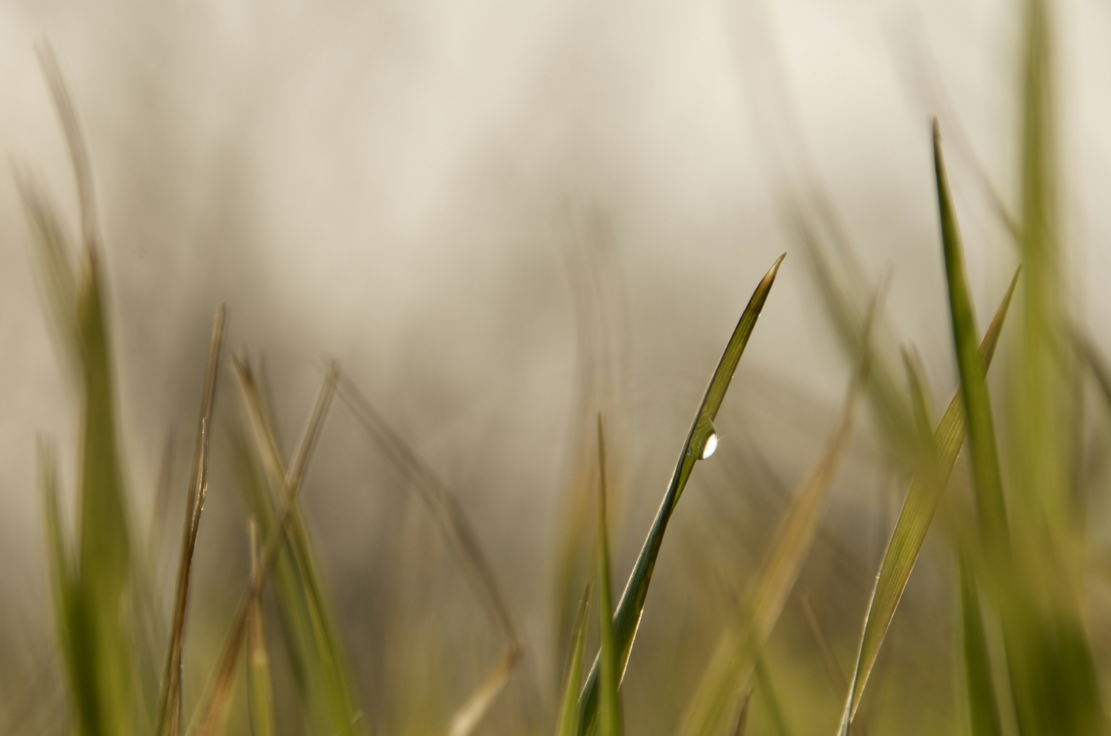 Photo by mariobeducci