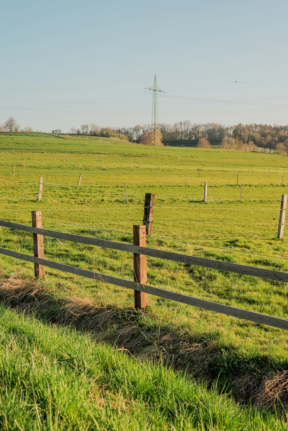 a fenced in field