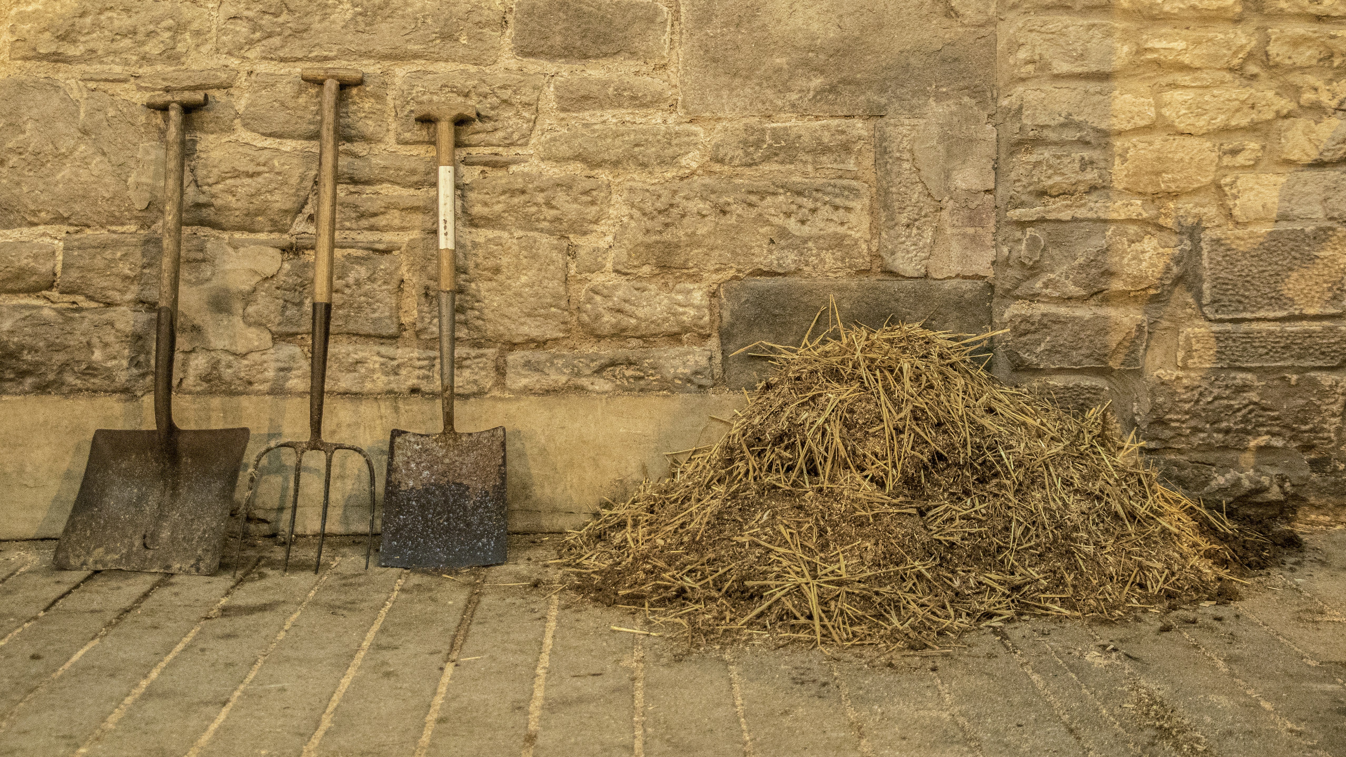 Dealing with Straw Man Arguments by Beth Walker