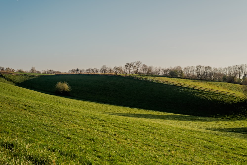 a large green field