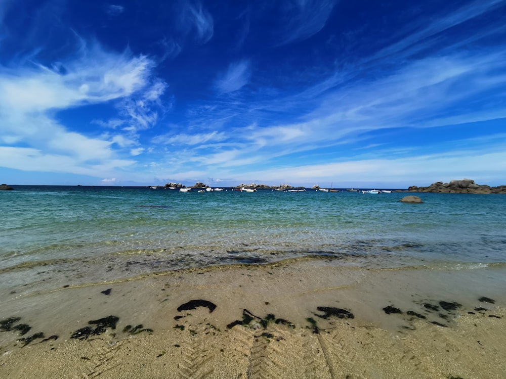 a beach with a body of water