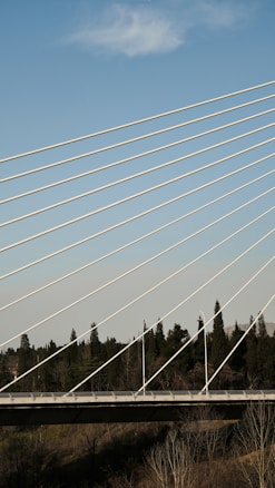 A modern cable-stayed bridge with numerous tension cables extending diagonally against a clear blue sky. Below the bridge, there are dense trees and vegetation, providing a natural backdrop. The cables create a striking pattern and add to the aesthetic appeal of the structure.