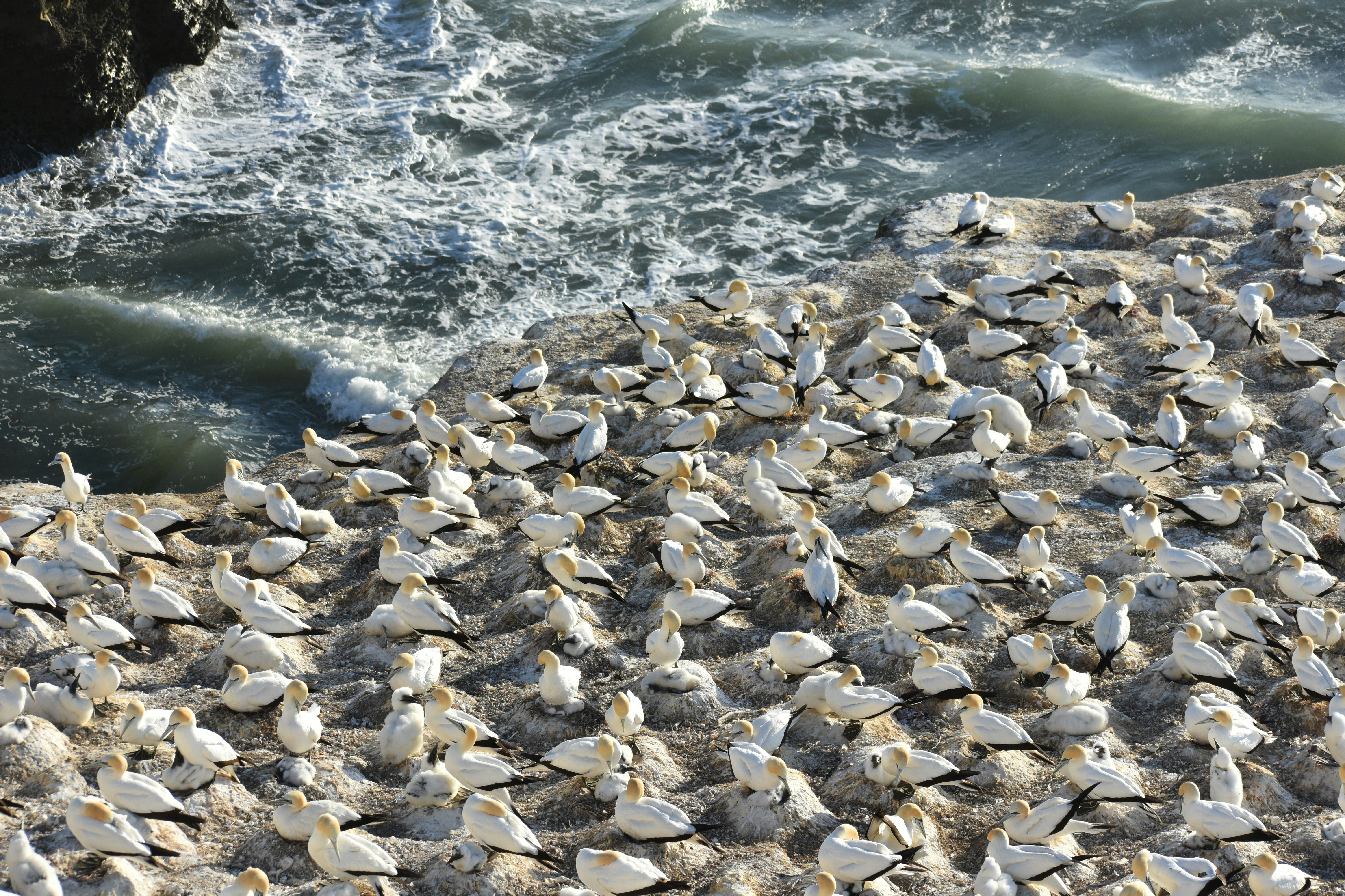 Photo by vinitanaidu