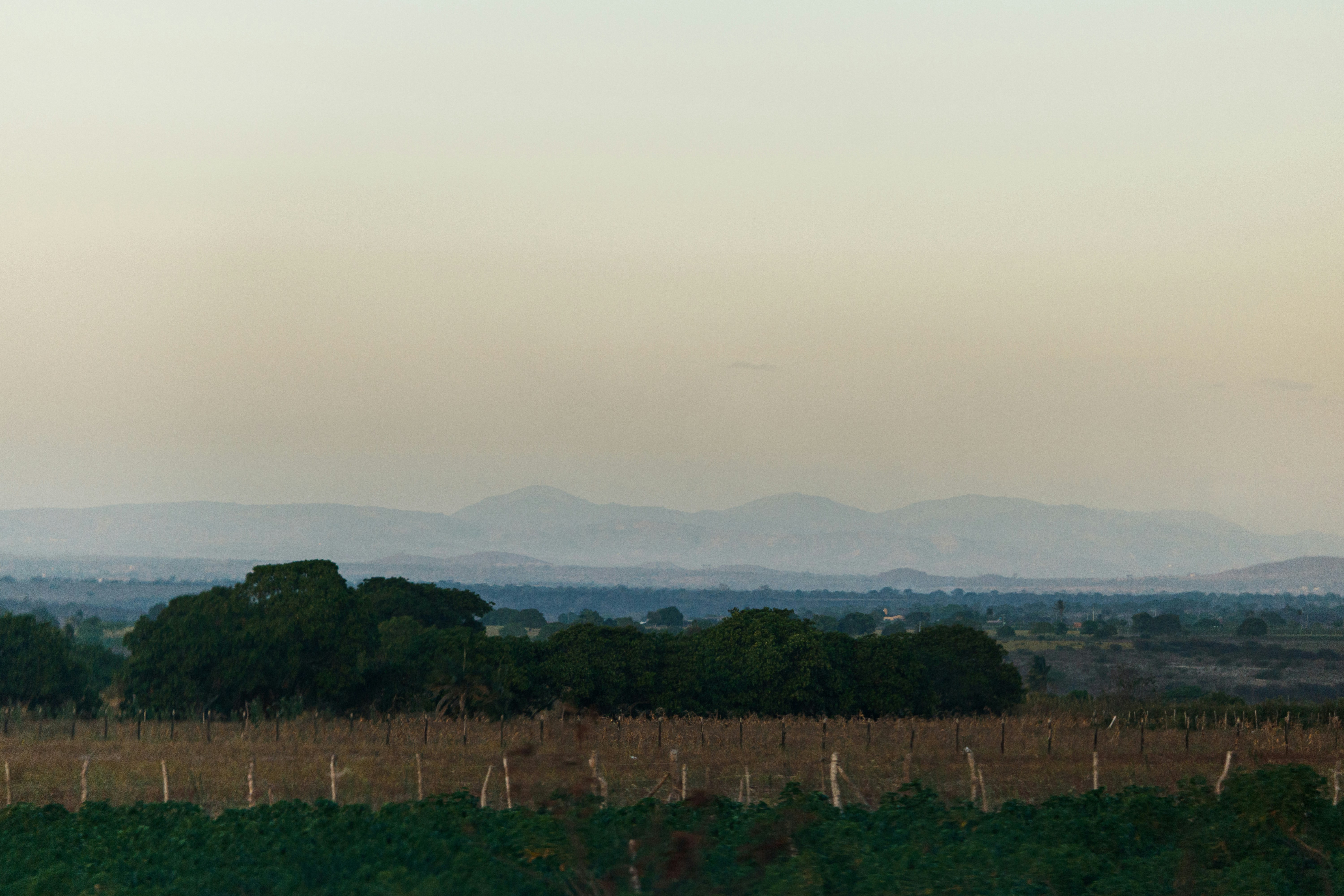 a field with trees and mountains in the distance