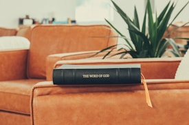 A black leather-bound book with 'The Word of God' embossed in gold on its cover rests on a tan leather sofa. Behind the sofa, a green potted plant adds a touch of nature to the cozy and calm indoor setting.
