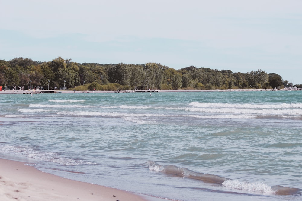 a beach with waves and trees in the background