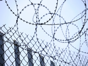 a barbed wire fence