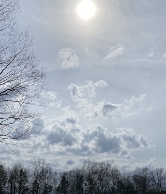 a cloudy sky with trees