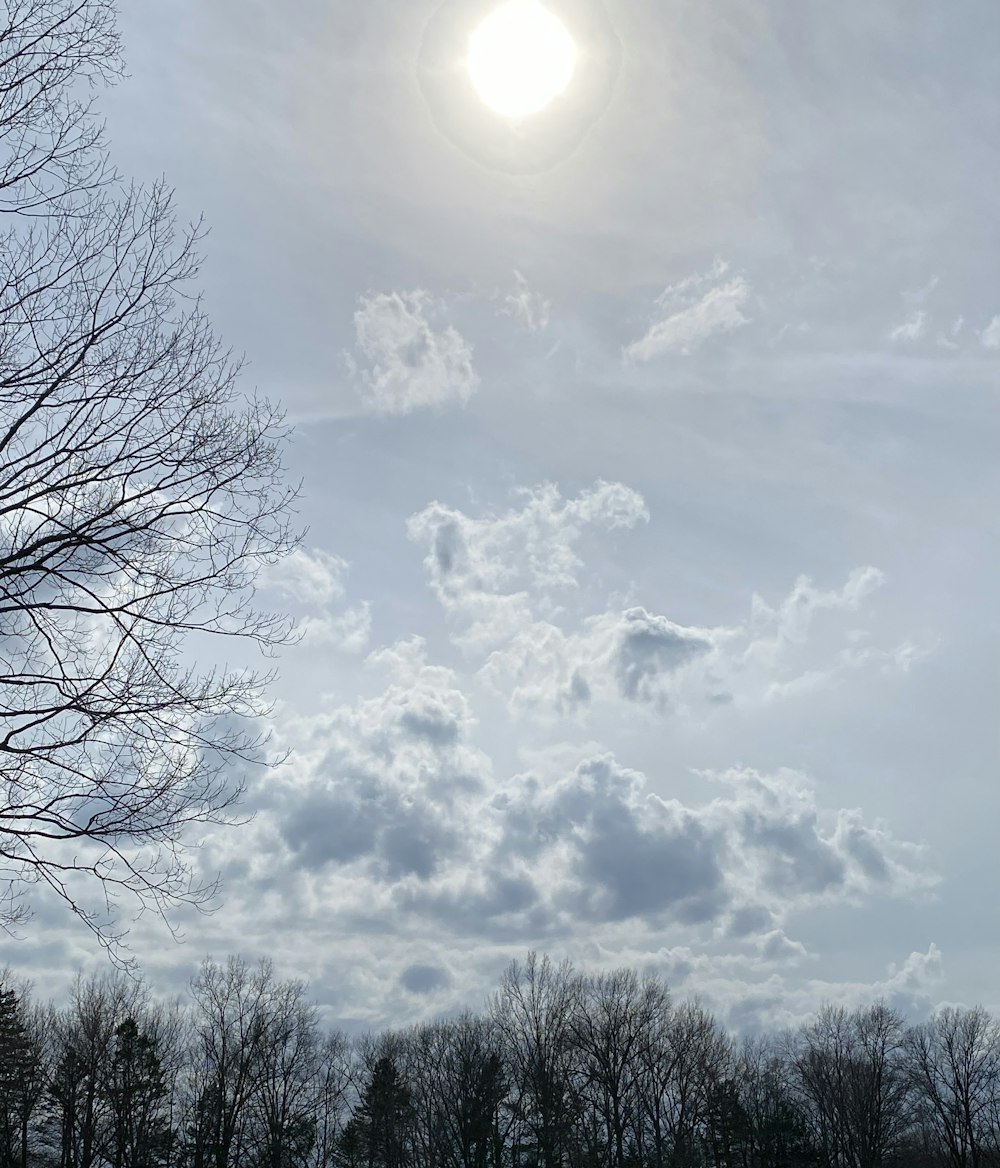 a cloudy sky with trees