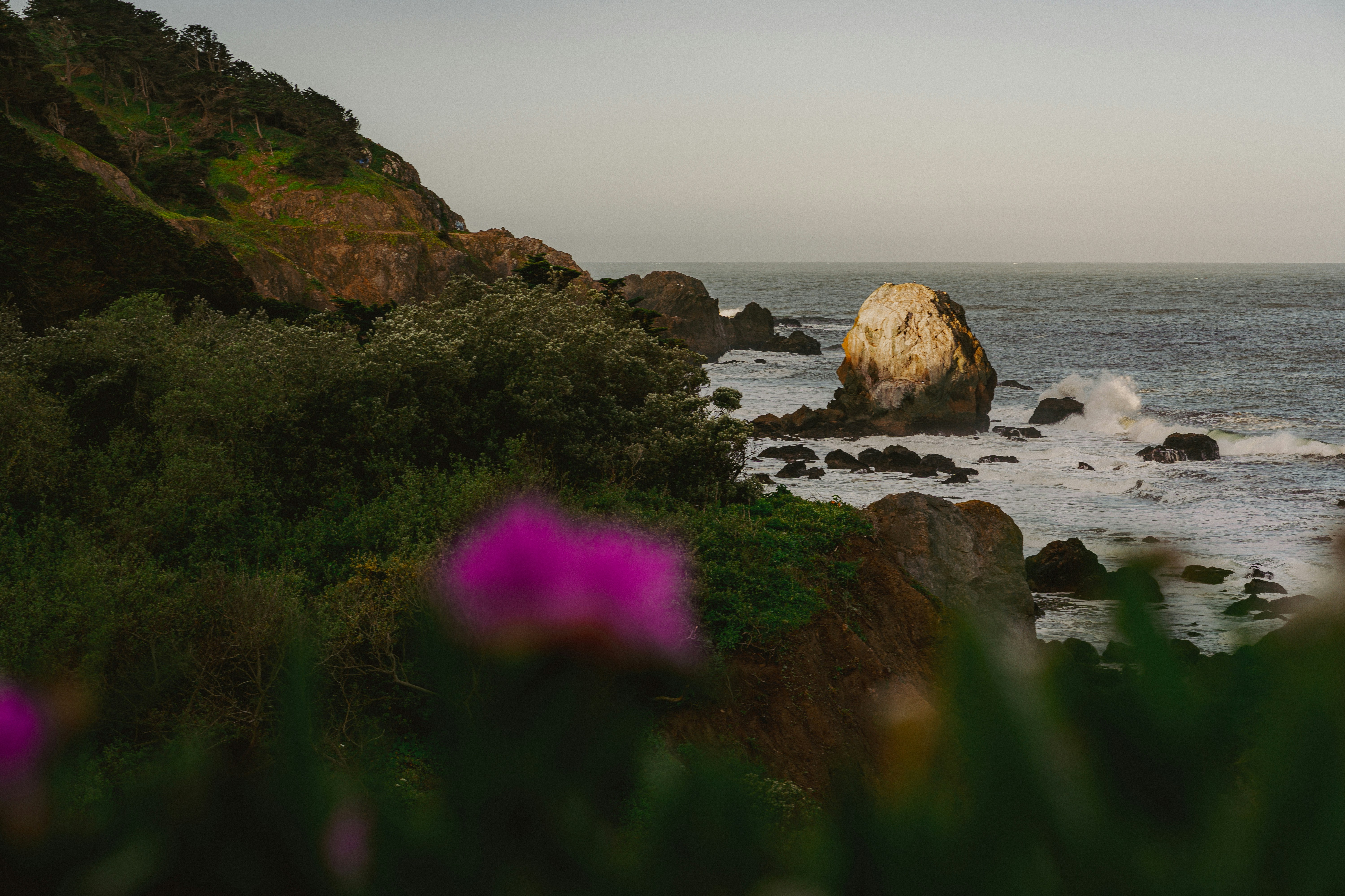 Photo by kalaniparker