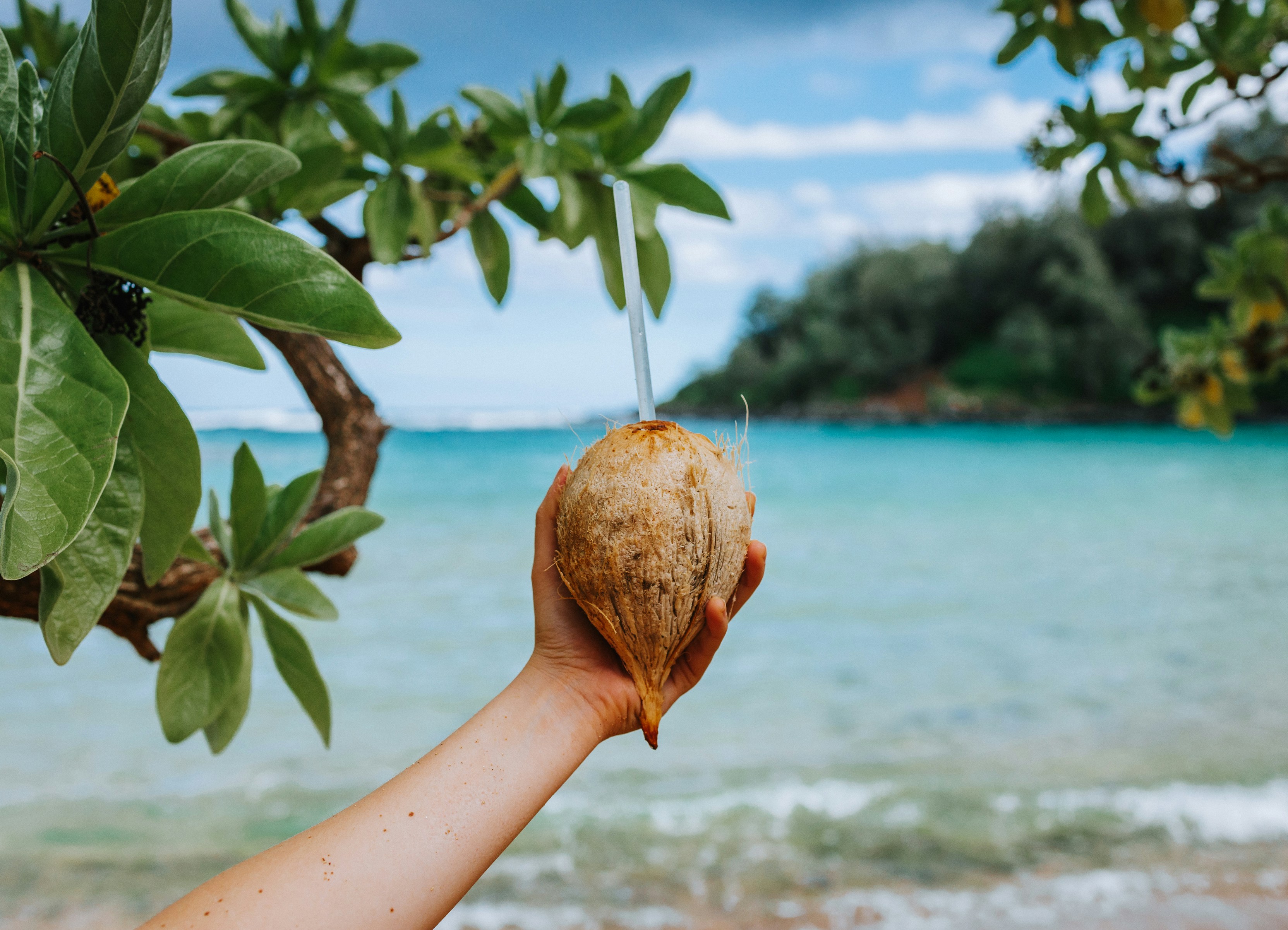 straw in a coconut on a tropical island
