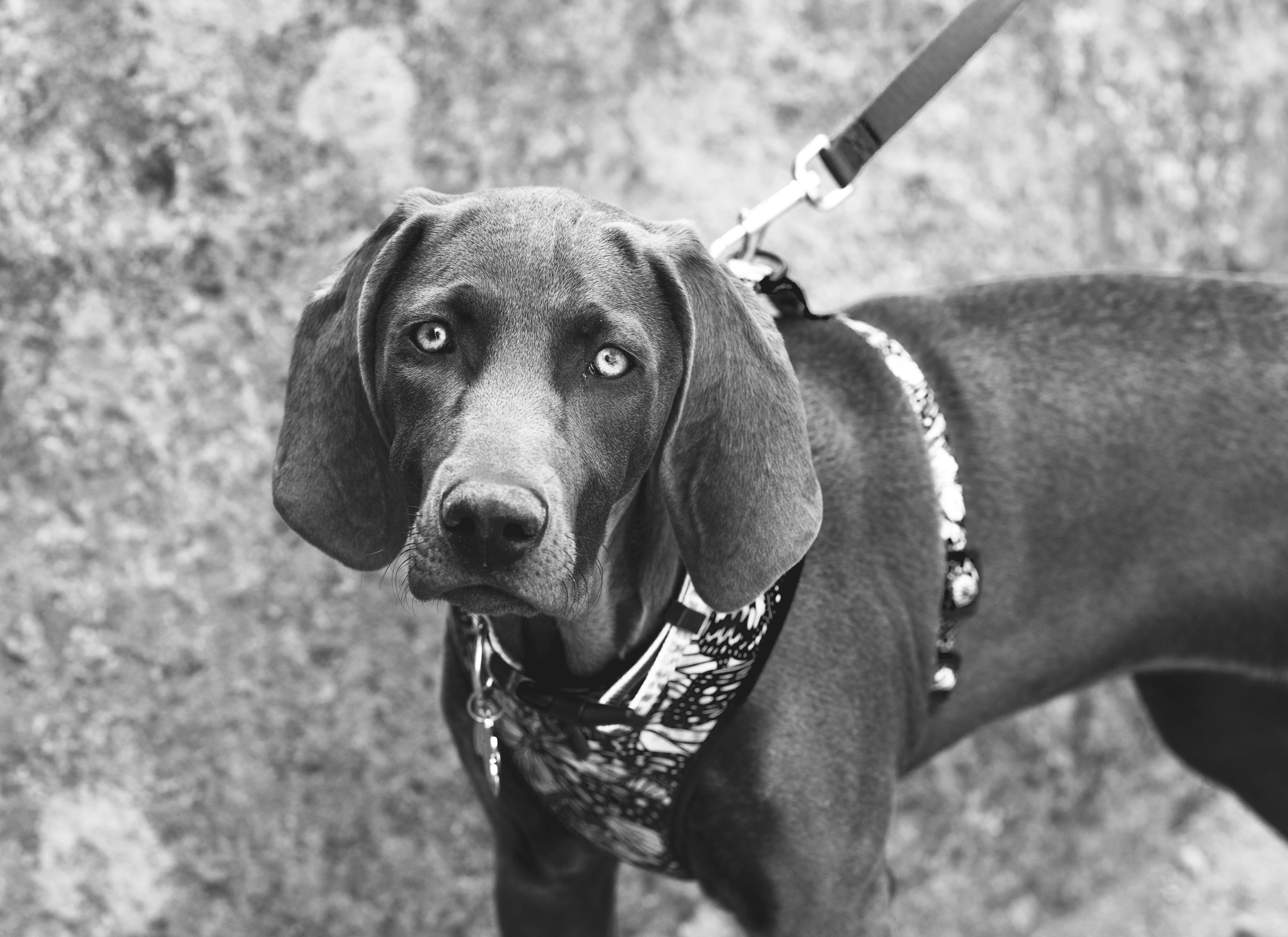 Photo by tayannphoto