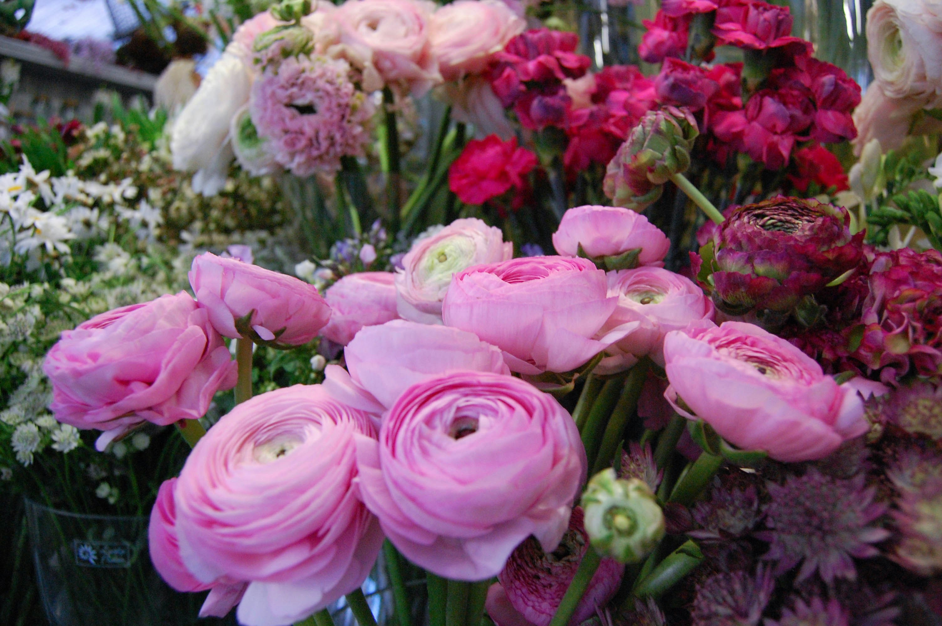 Photo by lexilaginess