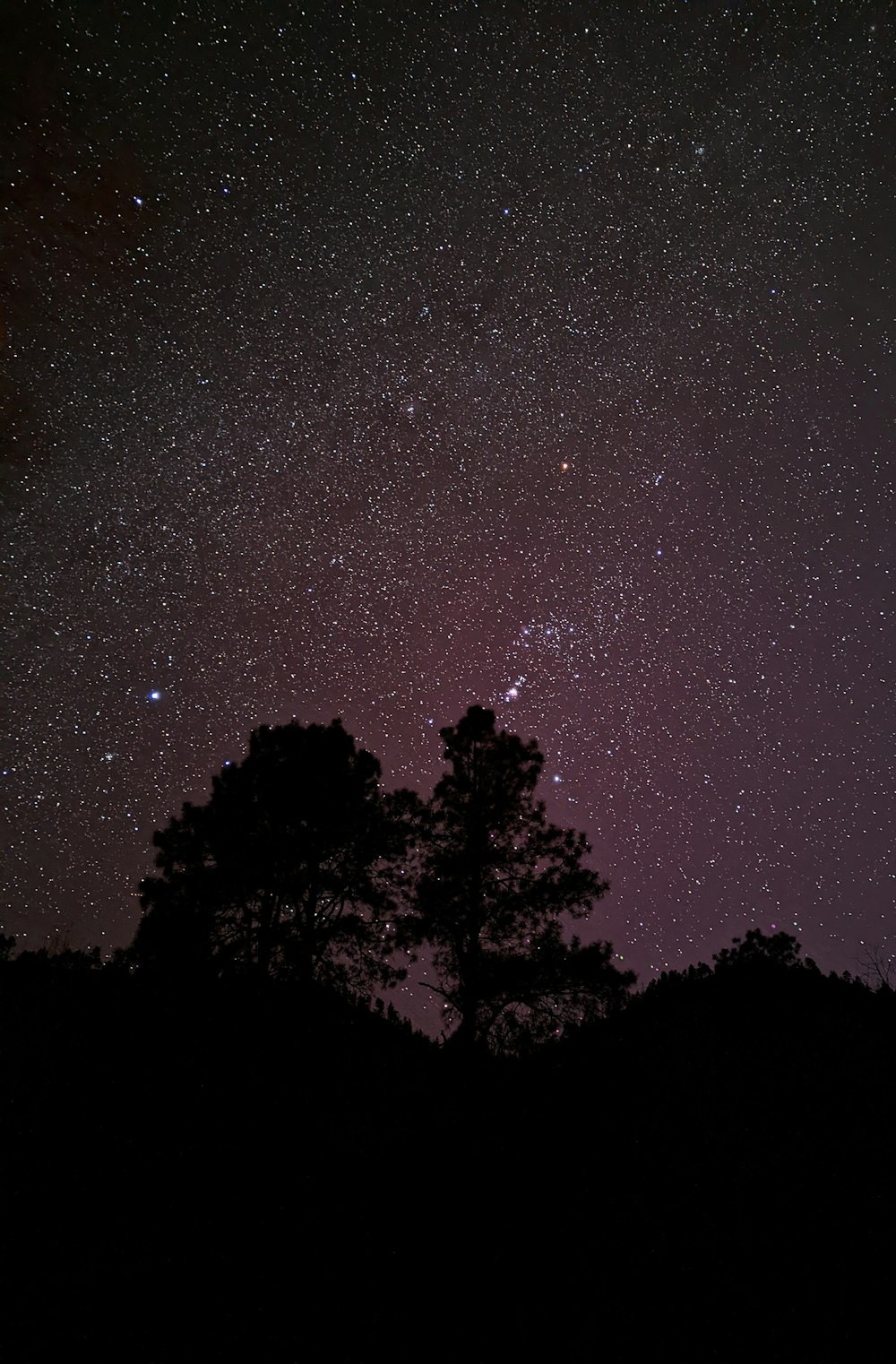 a starry night sky with trees