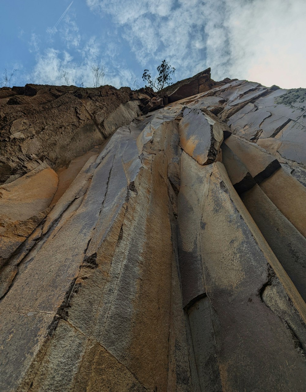 a rocky cliff with a tree