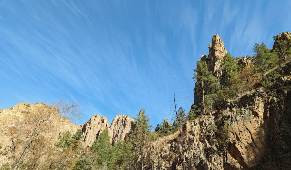 a rocky cliff with trees