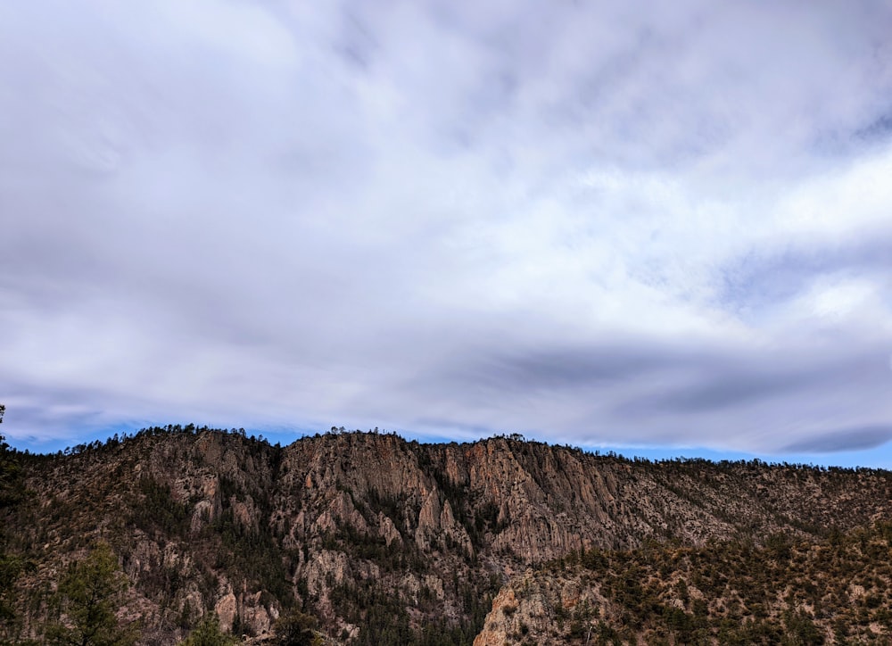 a rocky mountain with trees