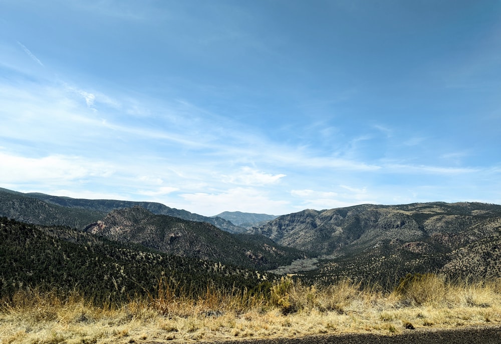 a grassy area with mountains in the background