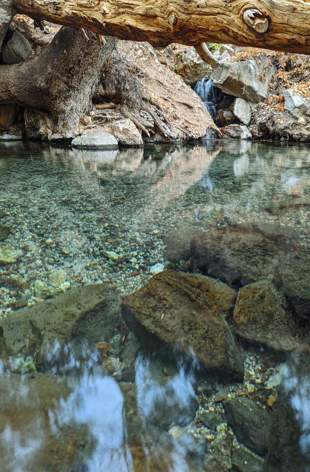 a stream of water with rocks and a tree branch