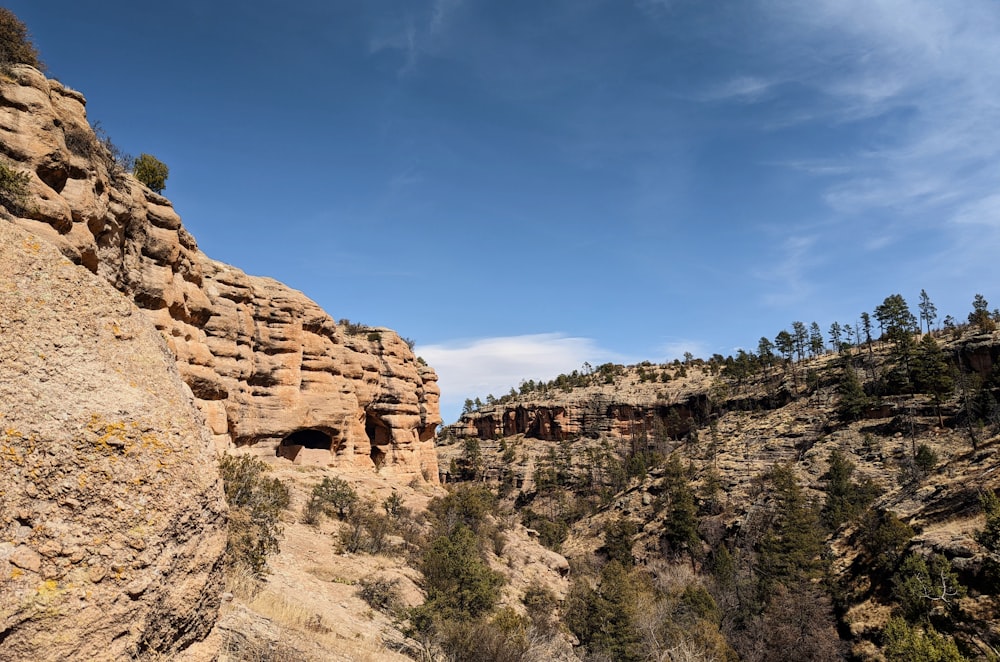 a rocky canyon with trees