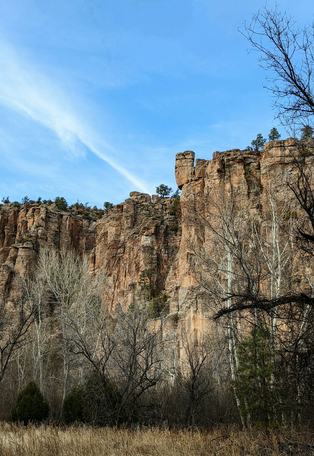 a rocky cliff with trees on it