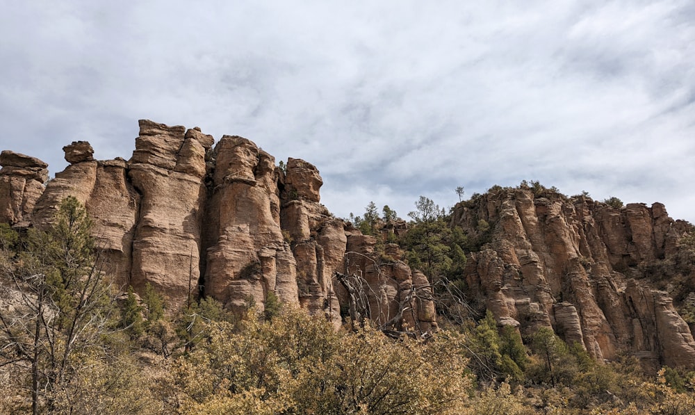 a rocky cliff with trees