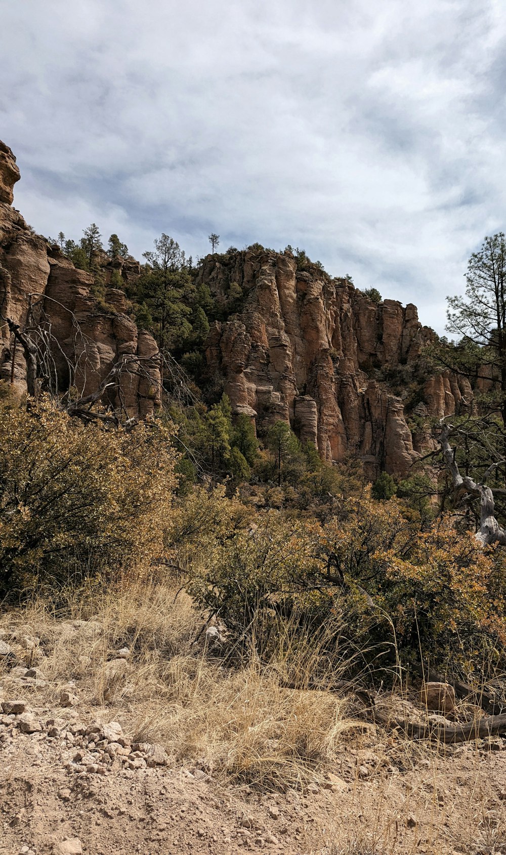 a rocky cliff with trees and bushes