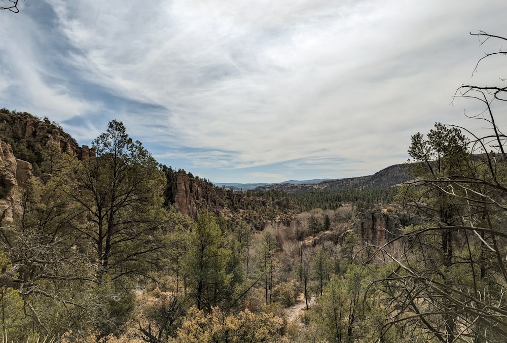 a landscape with trees and mountains