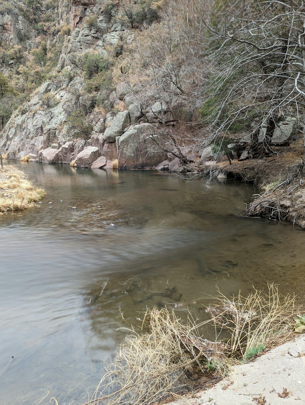 a river with rocks and trees