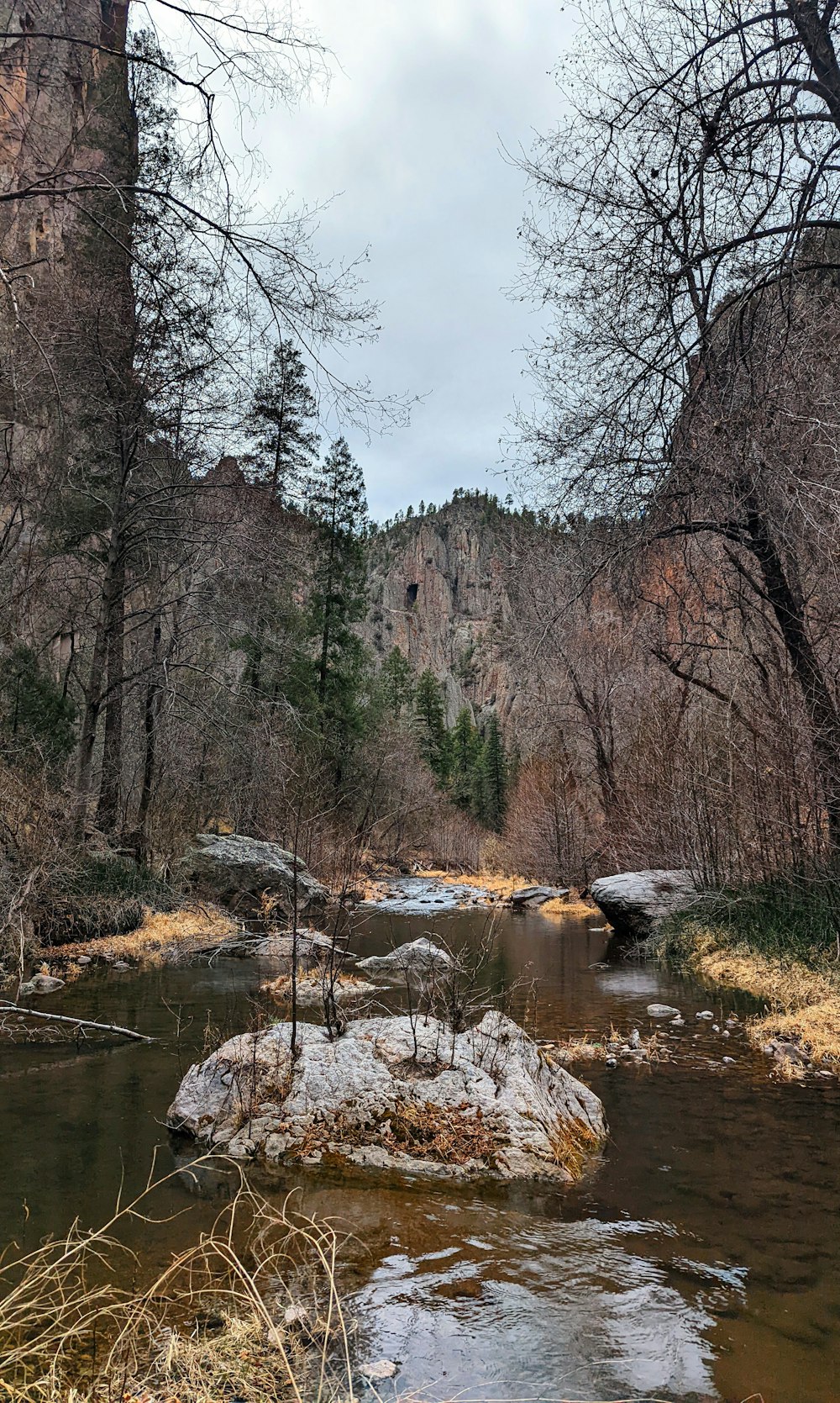 a river with rocks and trees