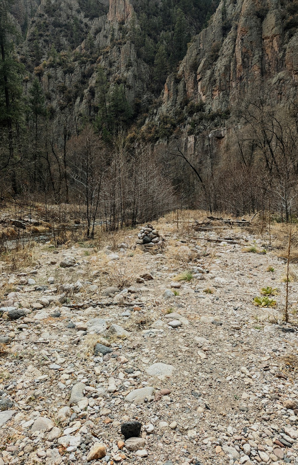 a rocky area with a rocky hillside