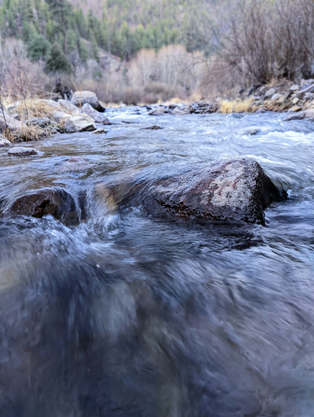 a river with rocks and trees