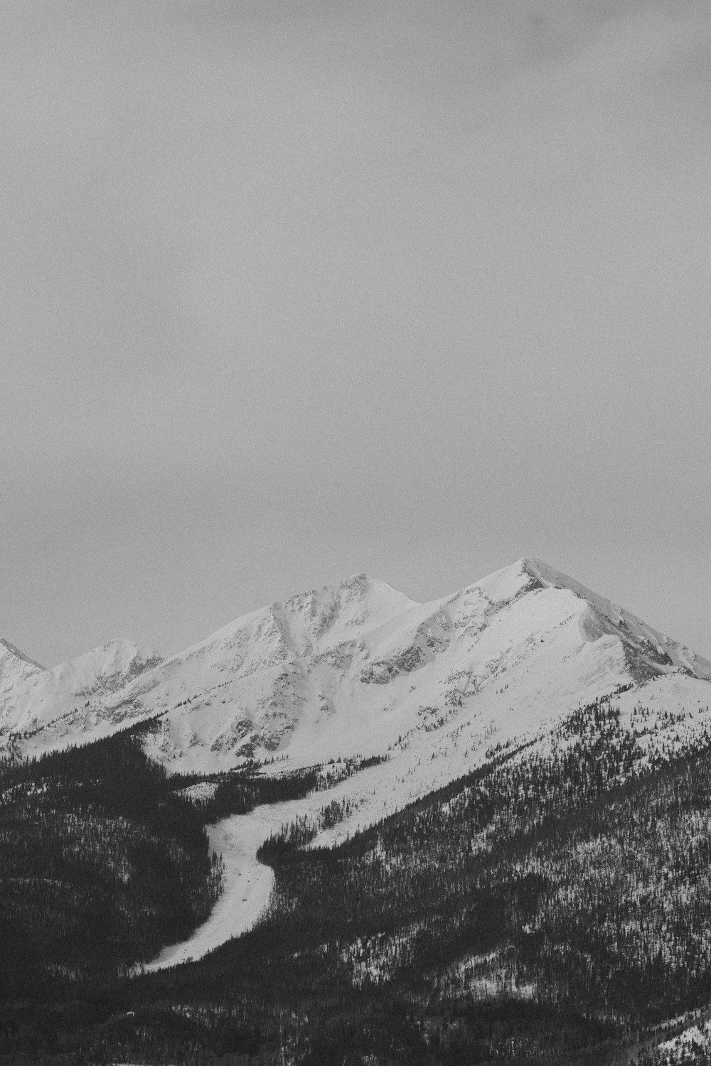 a snowy mountain with trees