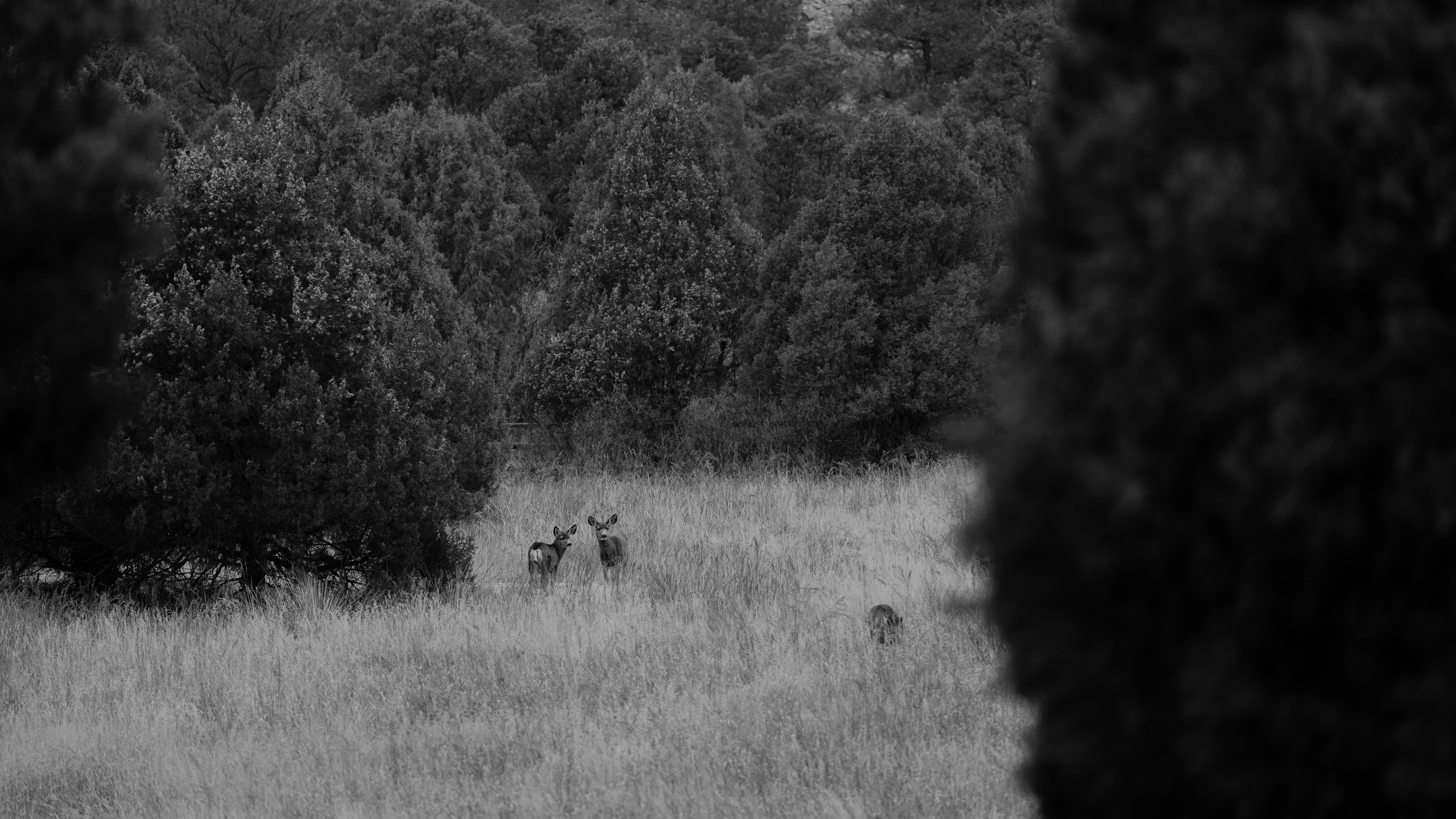 Photo by nomadicfitlust