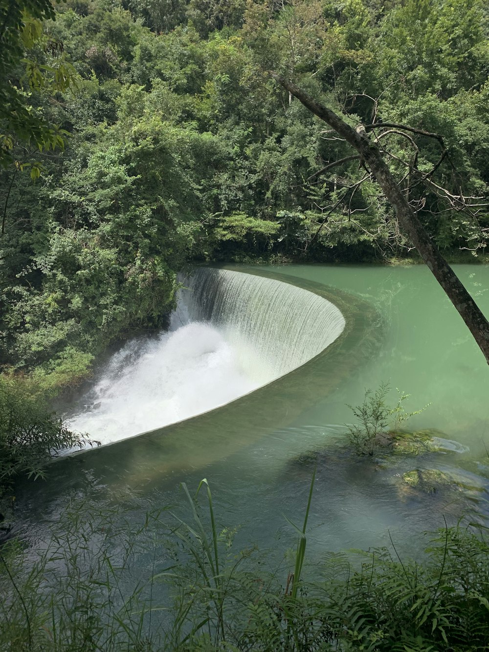 a waterfall in a forest