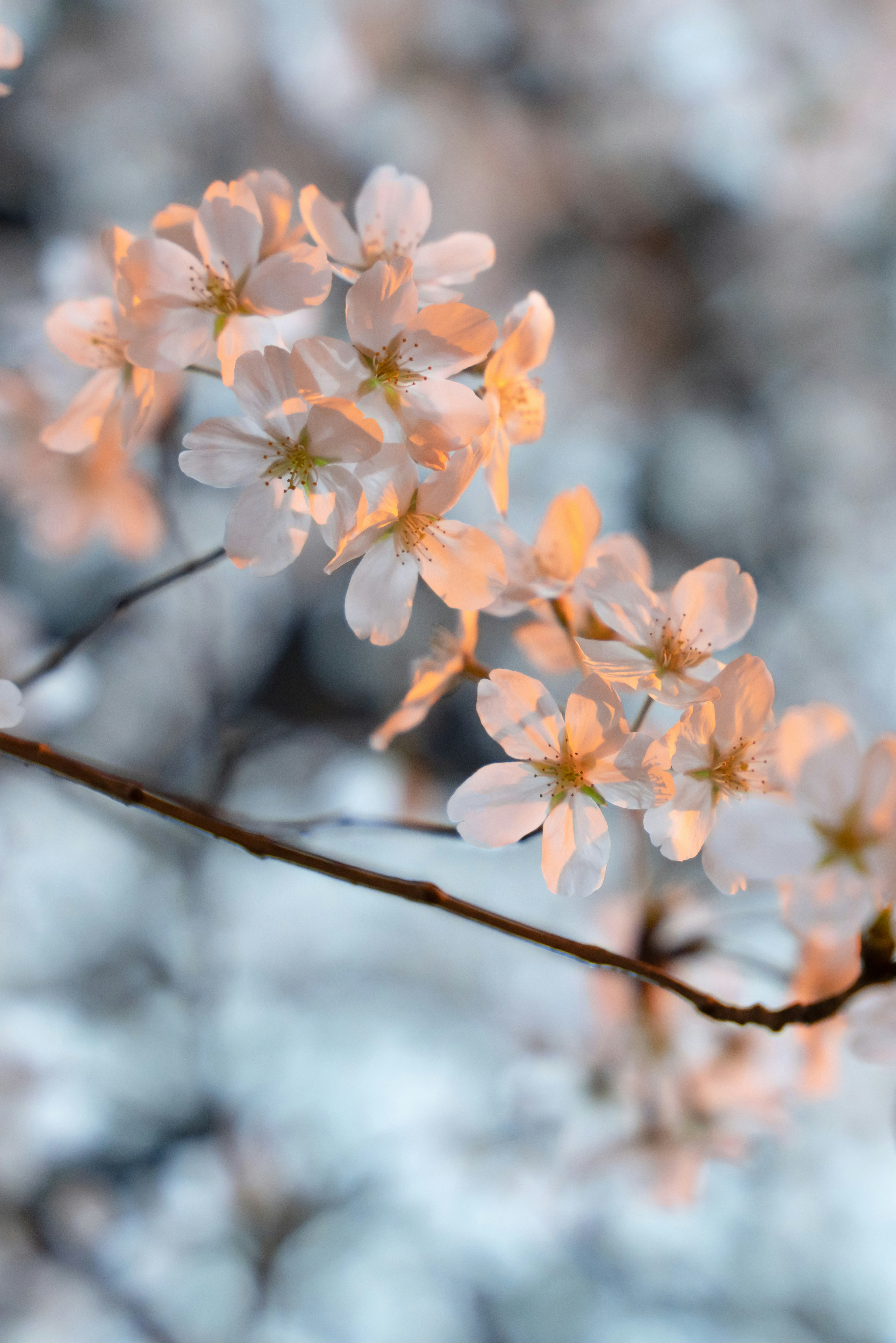 Photo by dongcheng