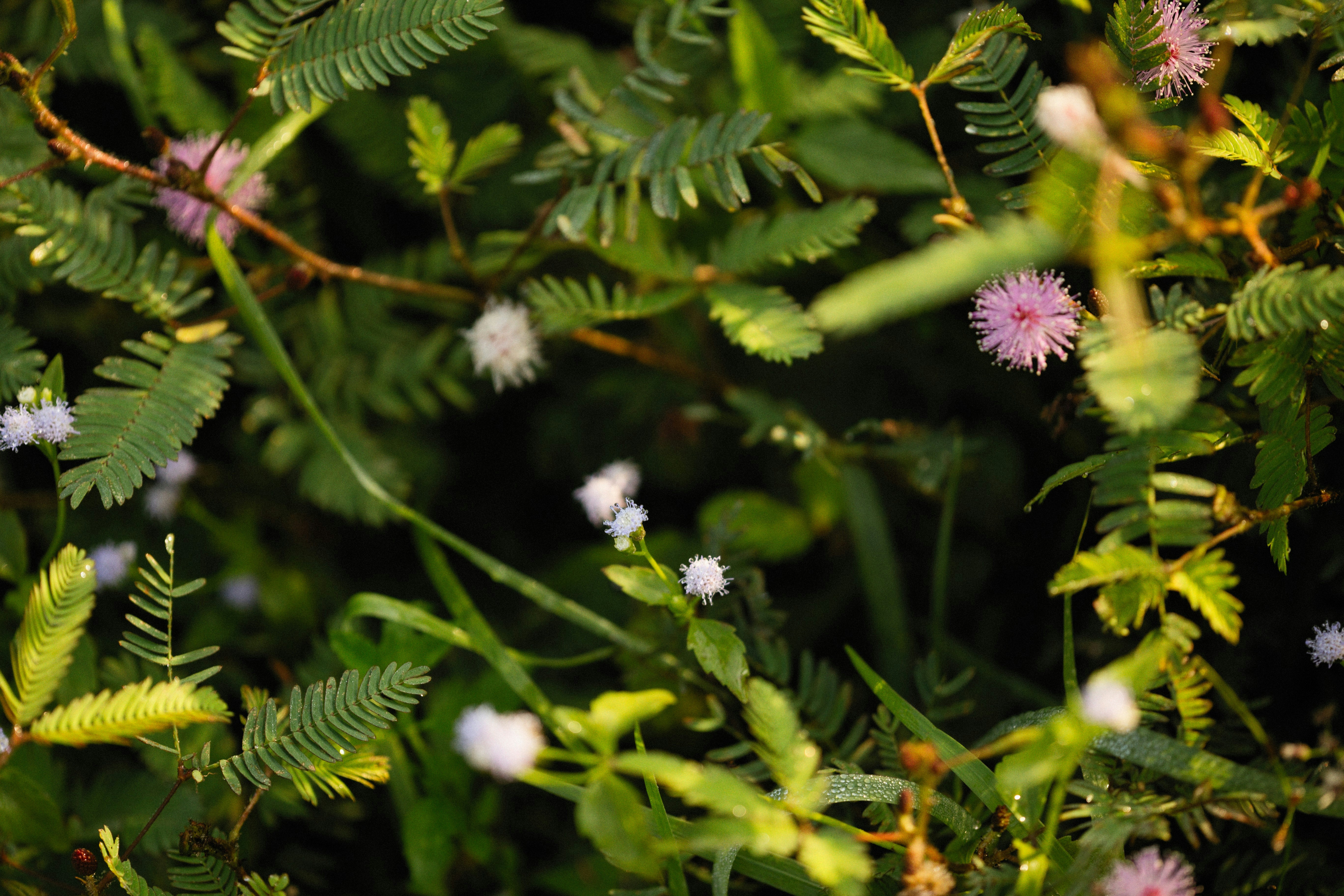 Photo by alexeydemidov