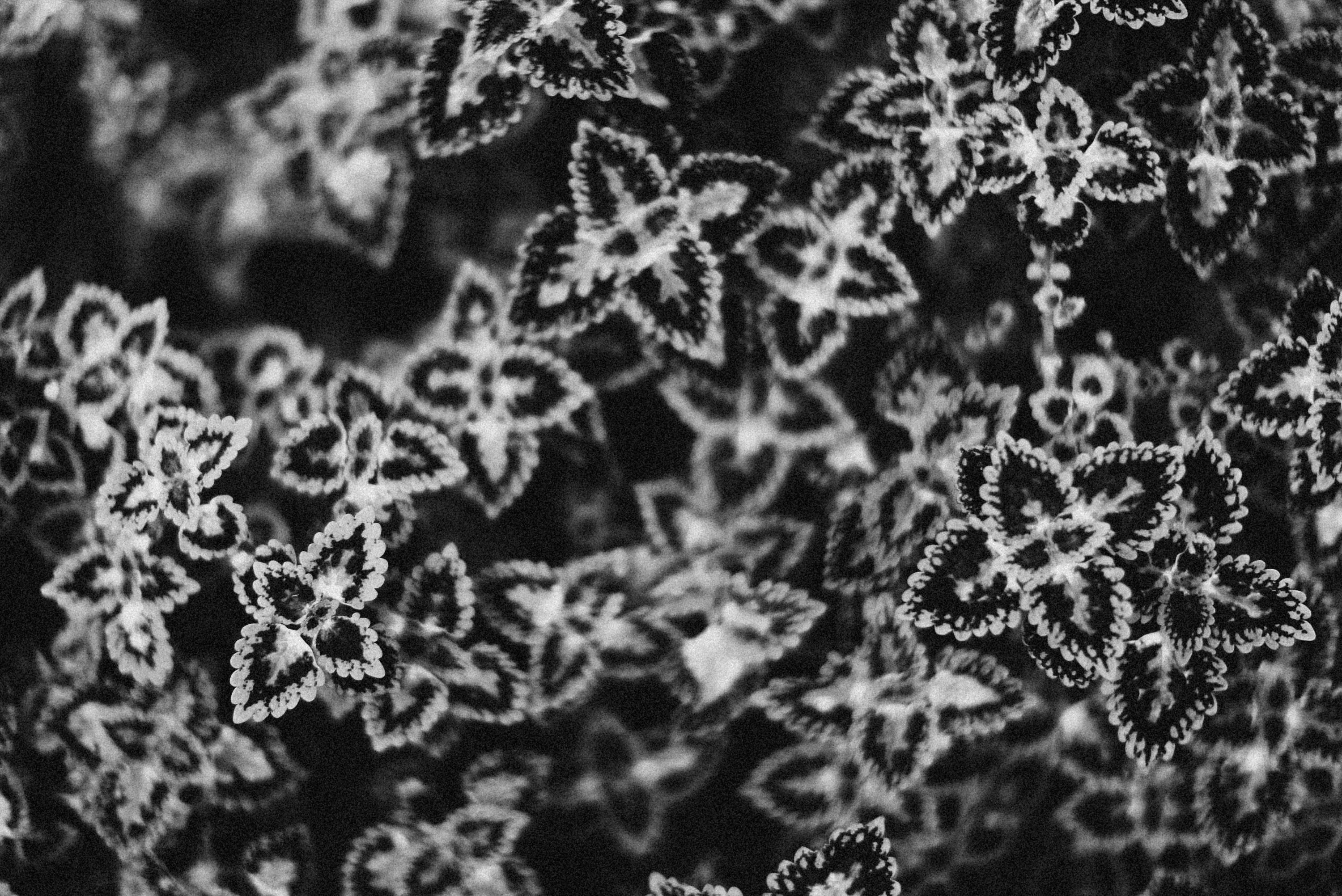 Photo by alexeydemidov