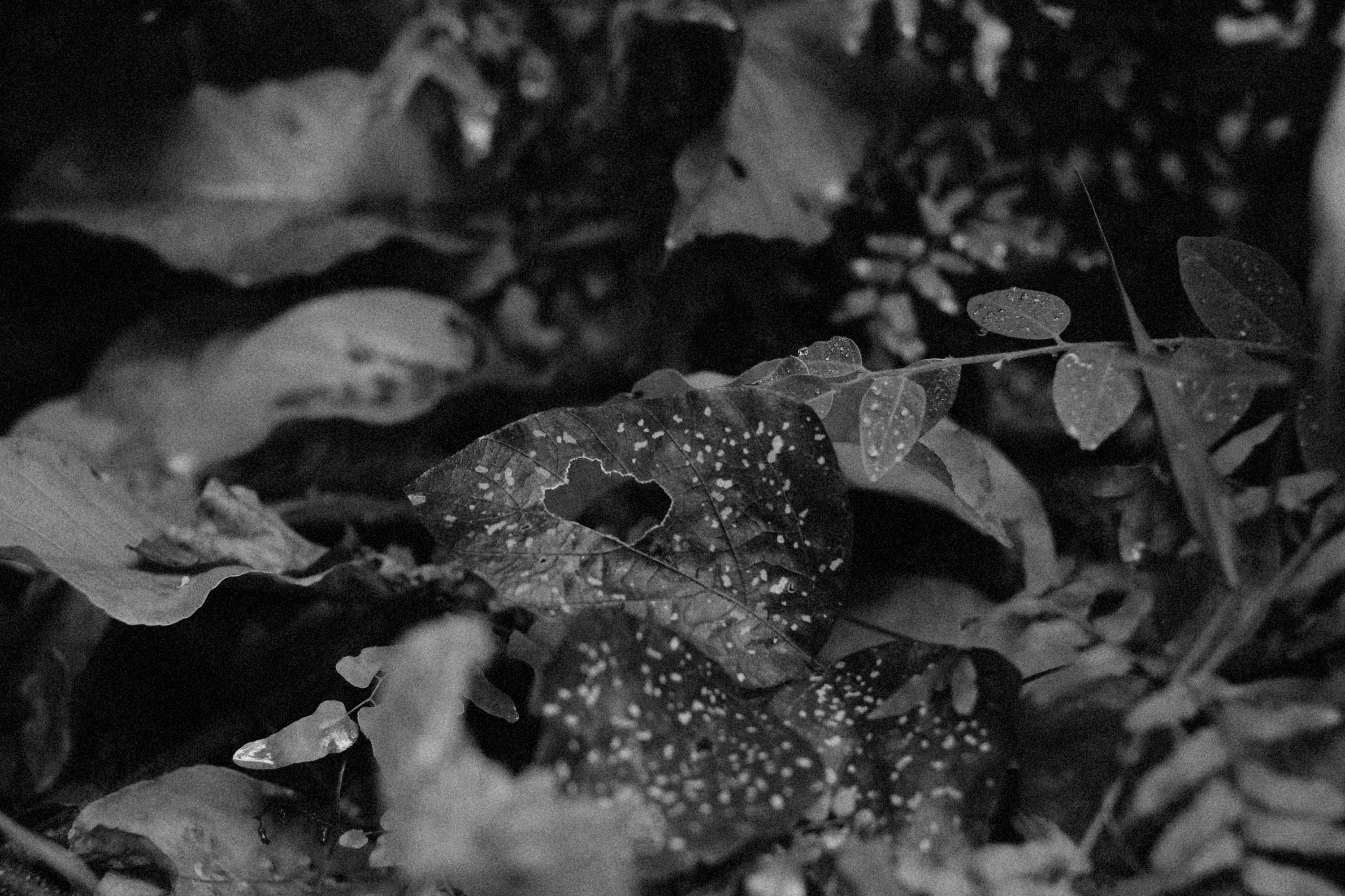 Photo by alexeydemidov