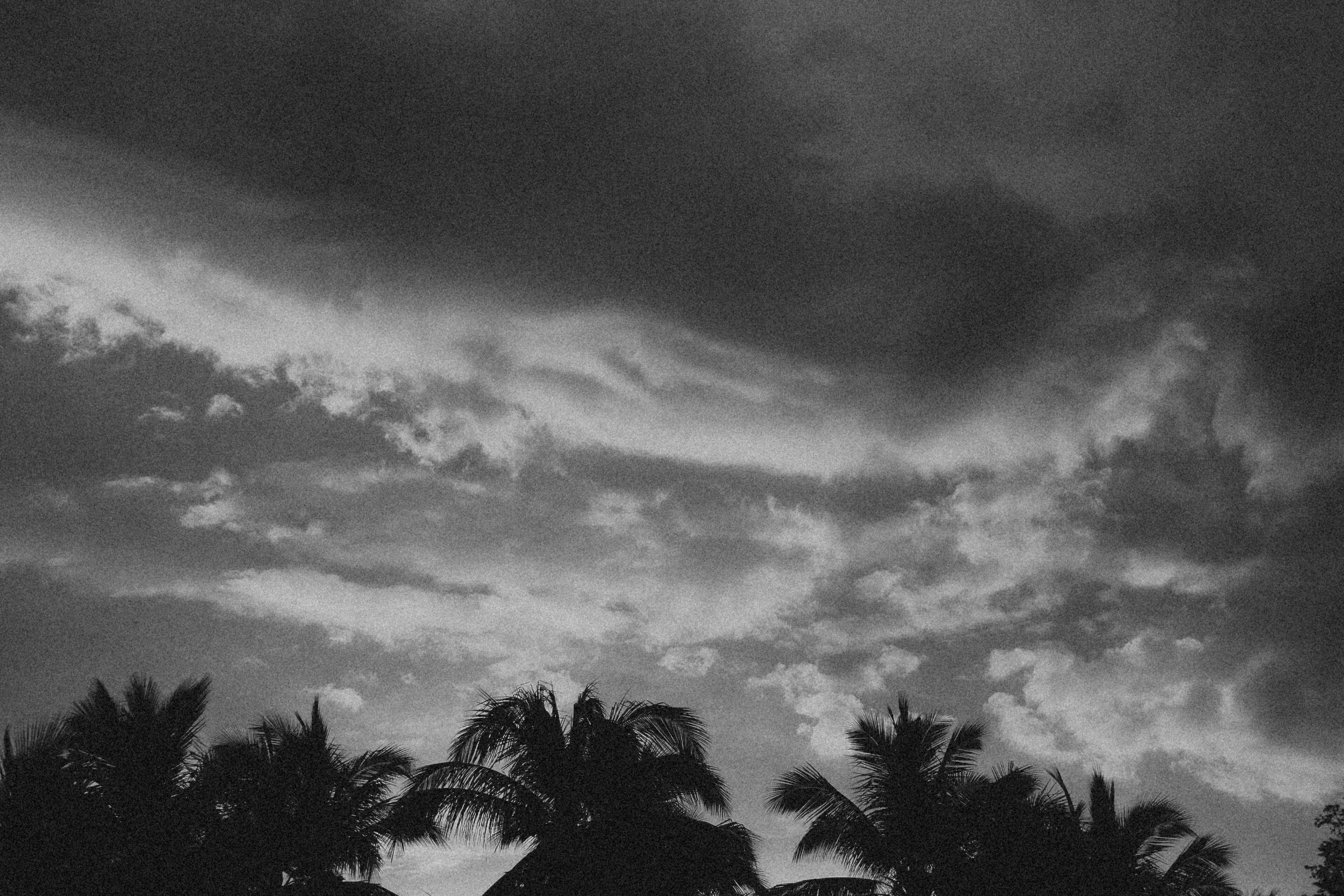 Photo by alexeydemidov