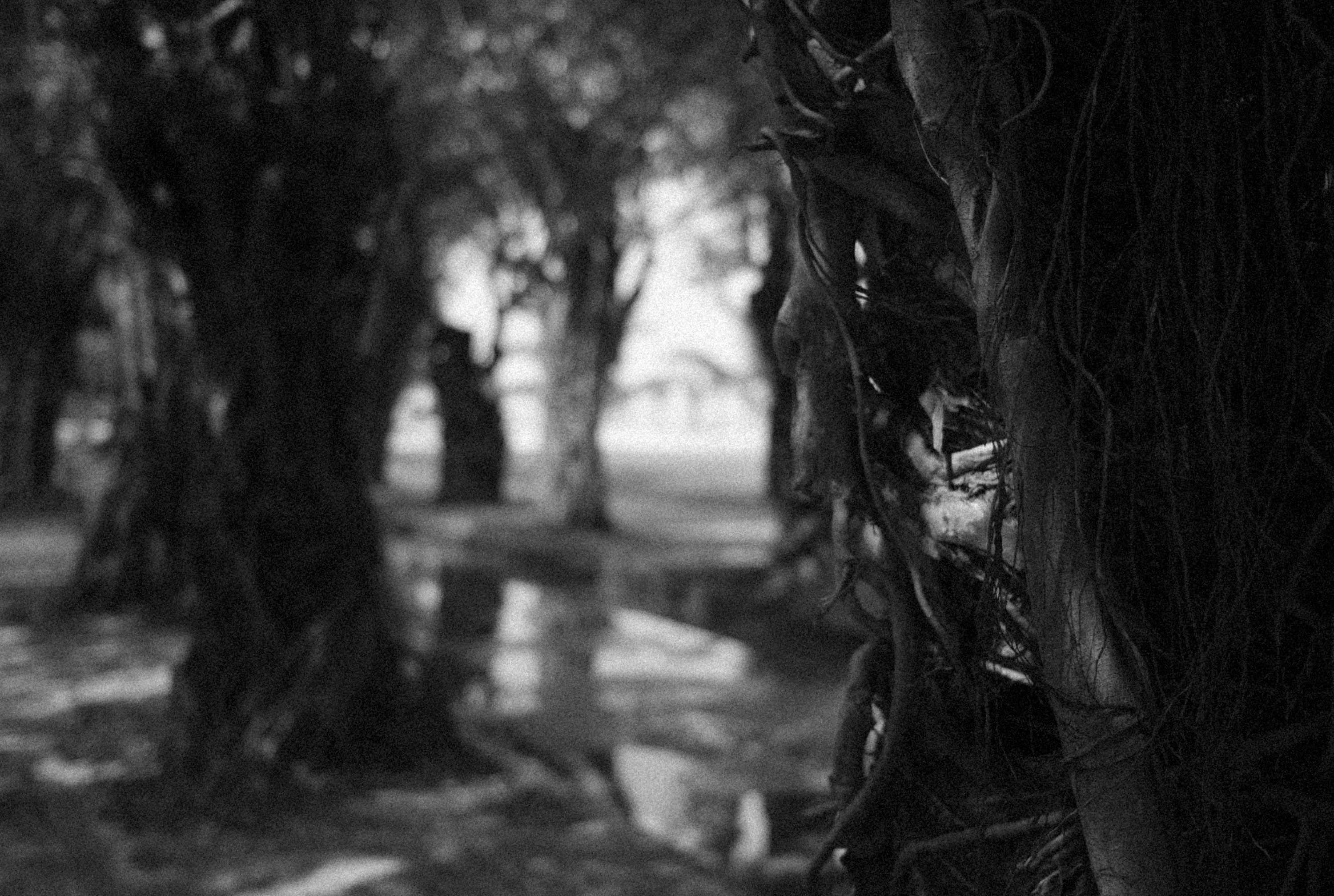 Photo by alexeydemidov