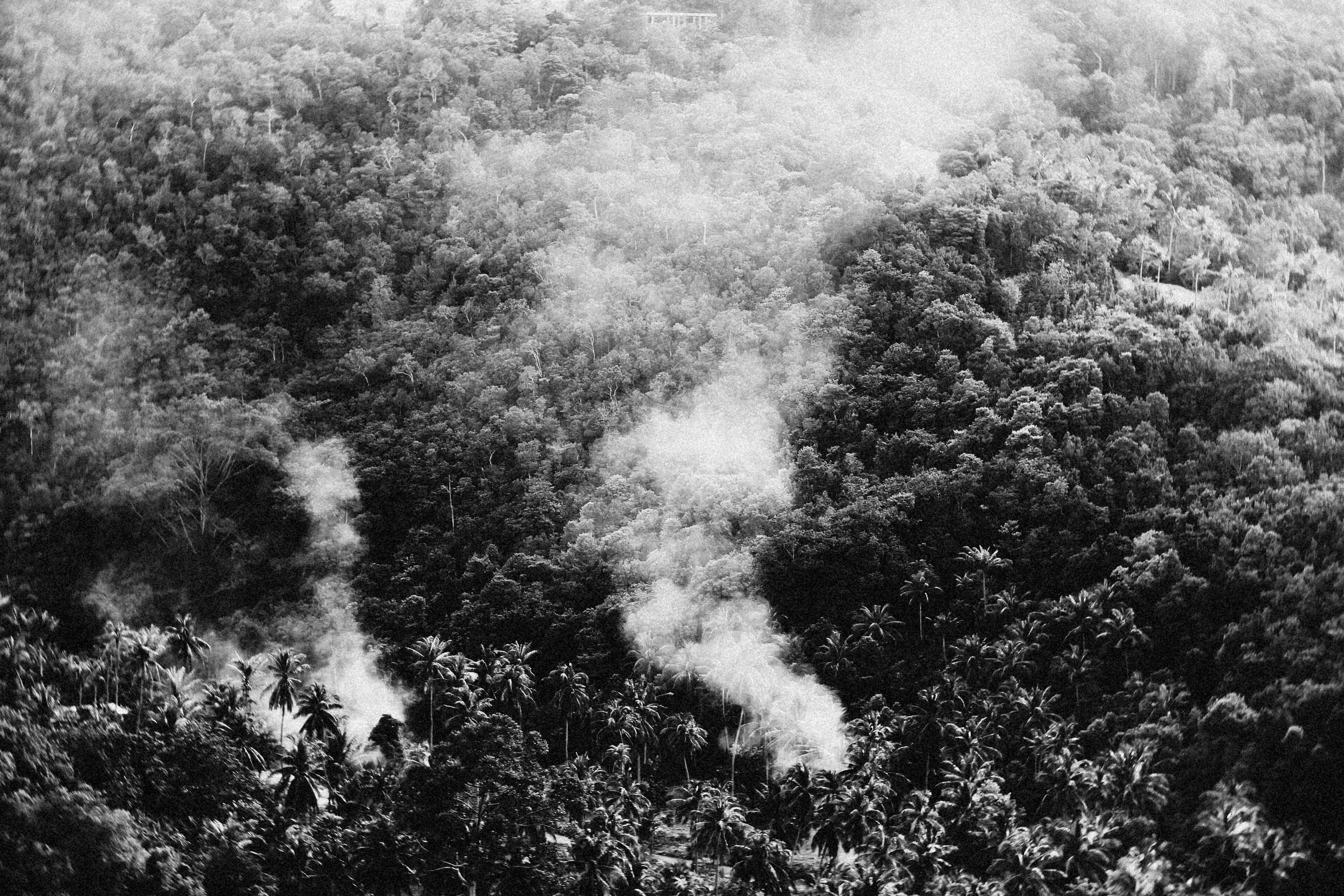 Photo by alexeydemidov