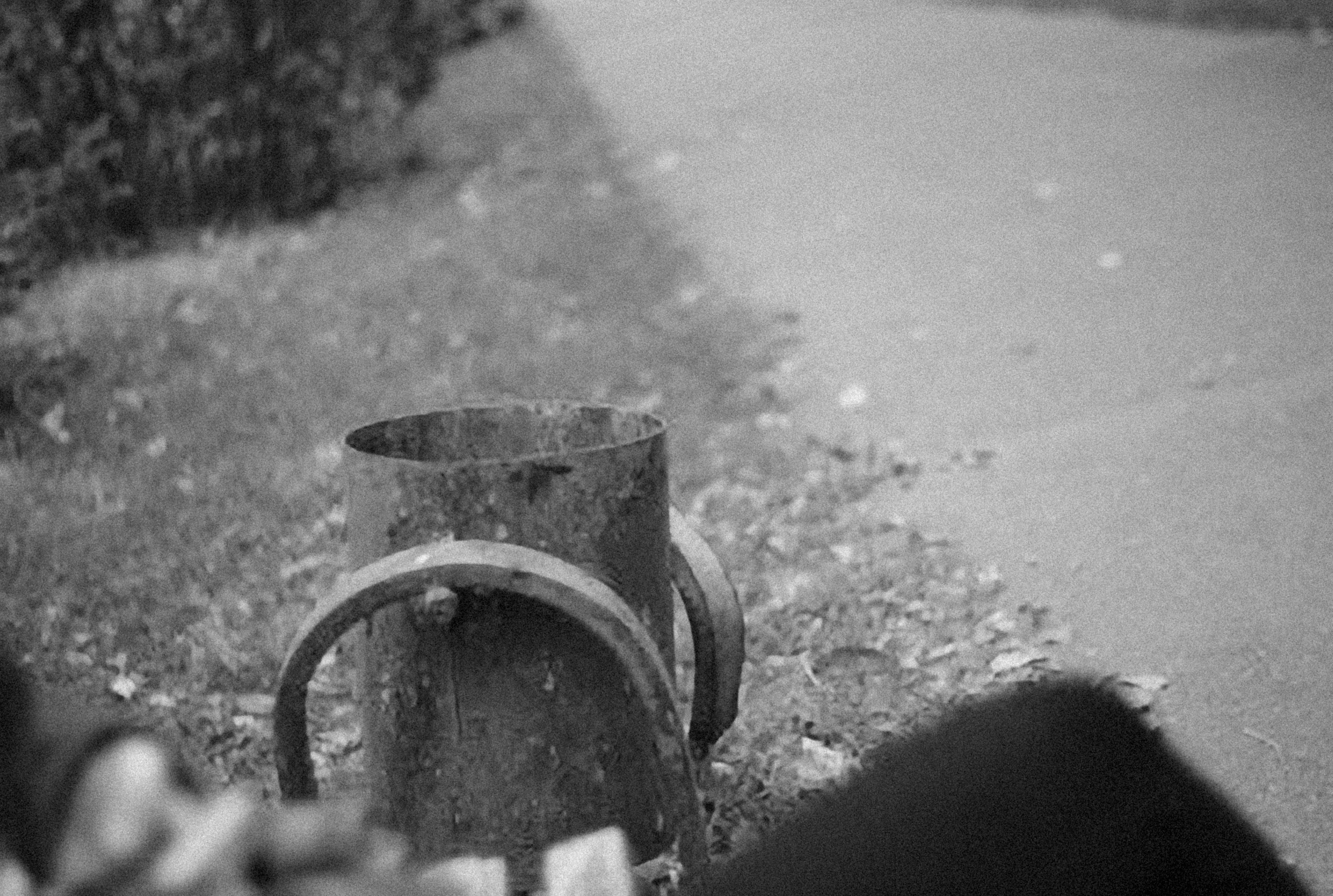 Photo by alexeydemidov