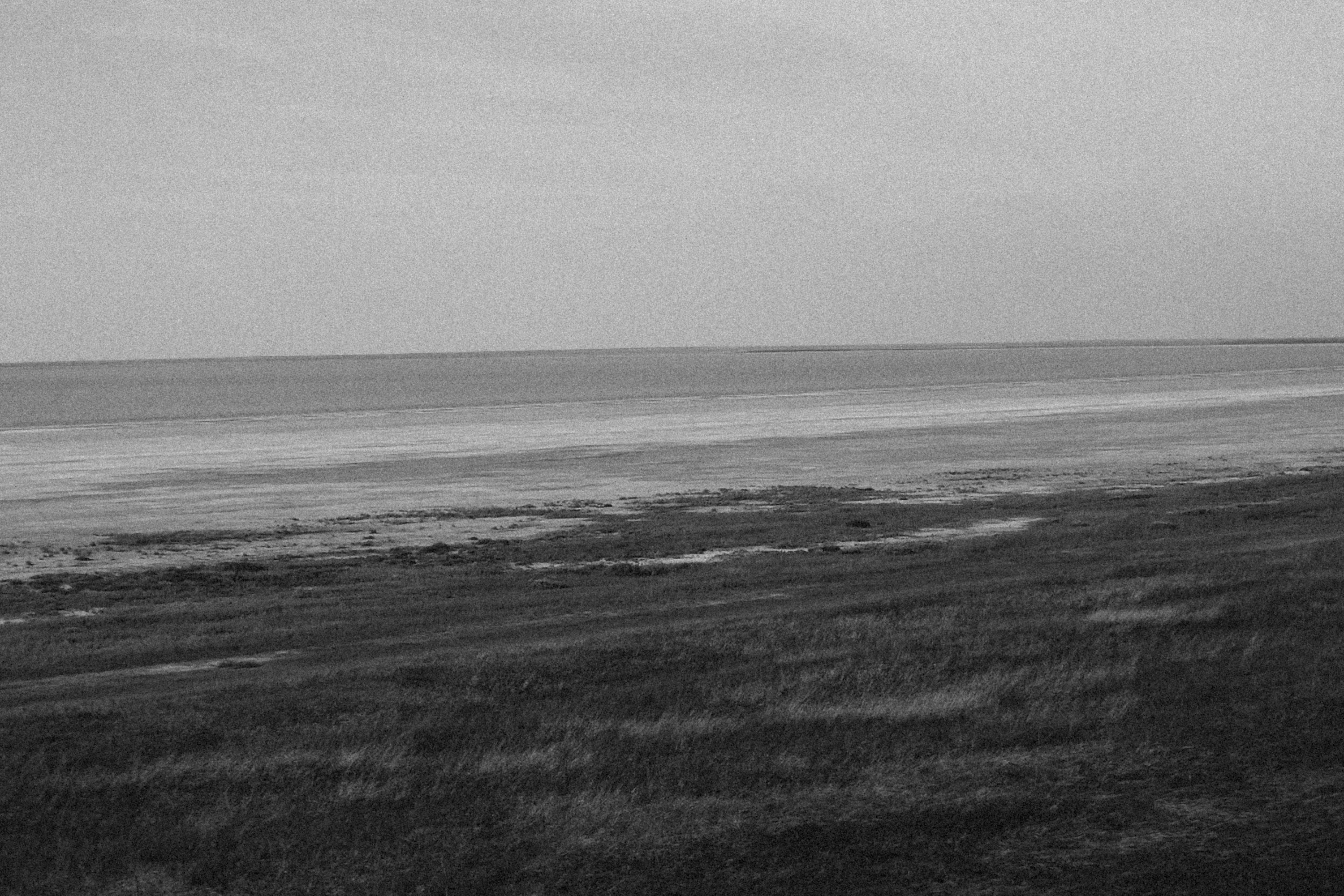 Photo by alexeydemidov