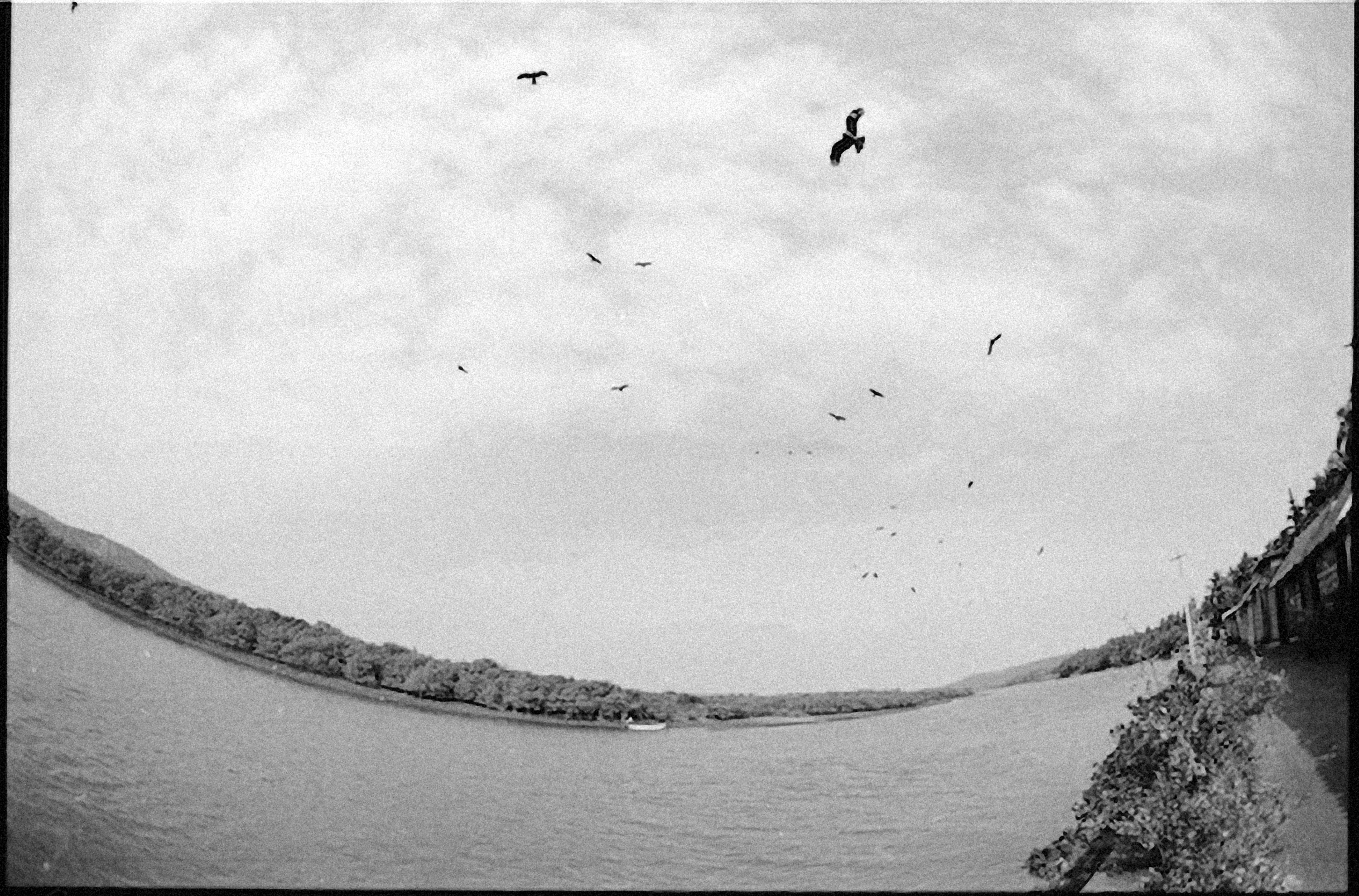 Photo by alexeydemidov