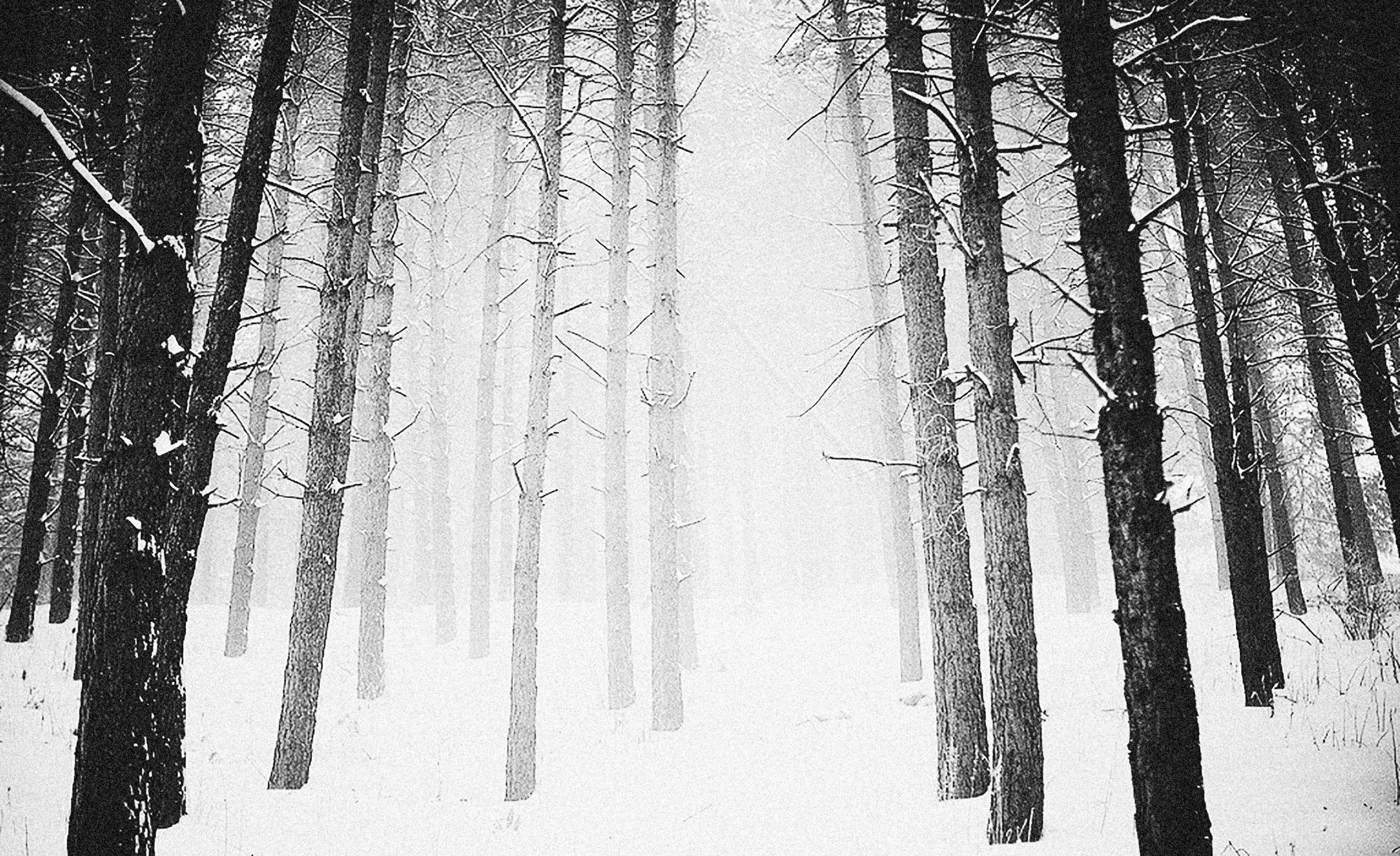 Photo by alexeydemidov